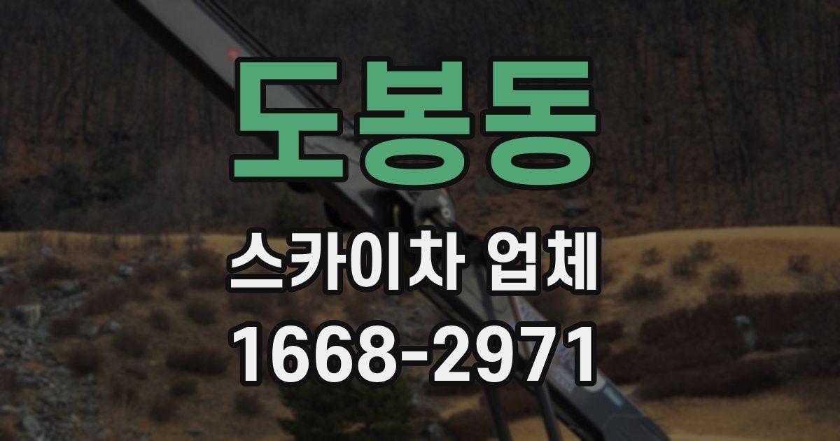 도봉동 스카이차 업체