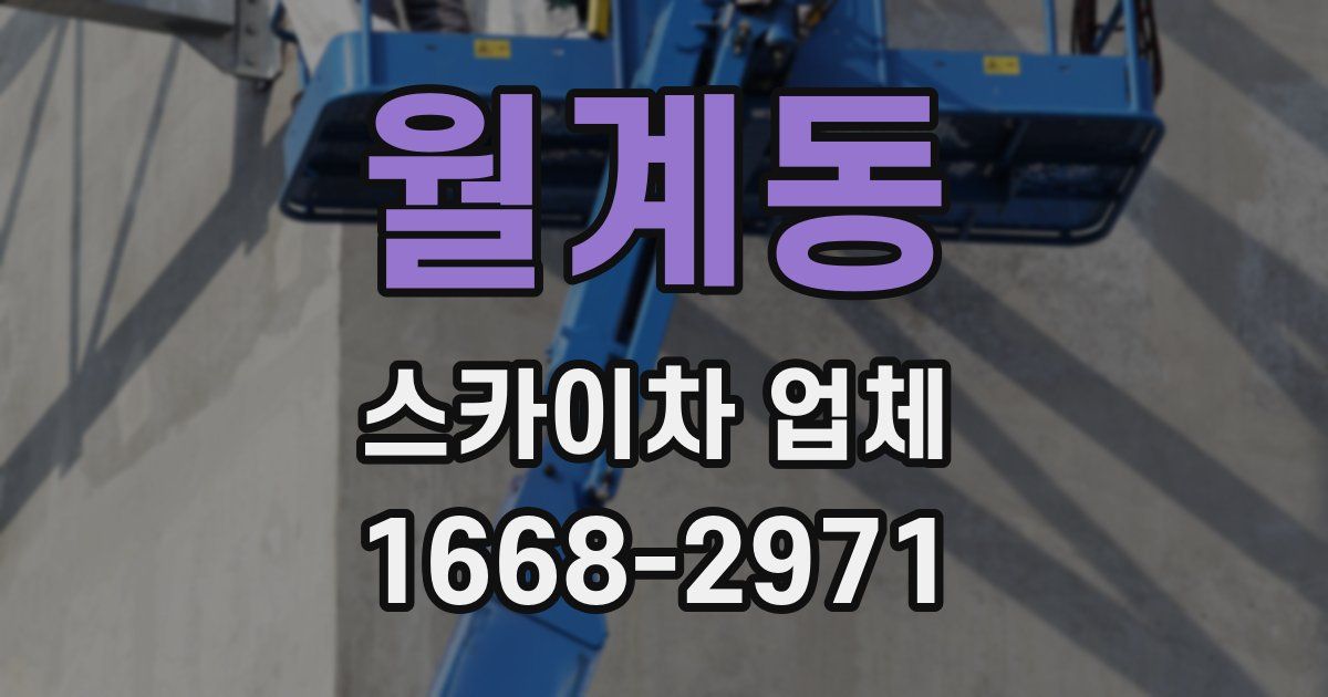 월계동 스카이차 업체