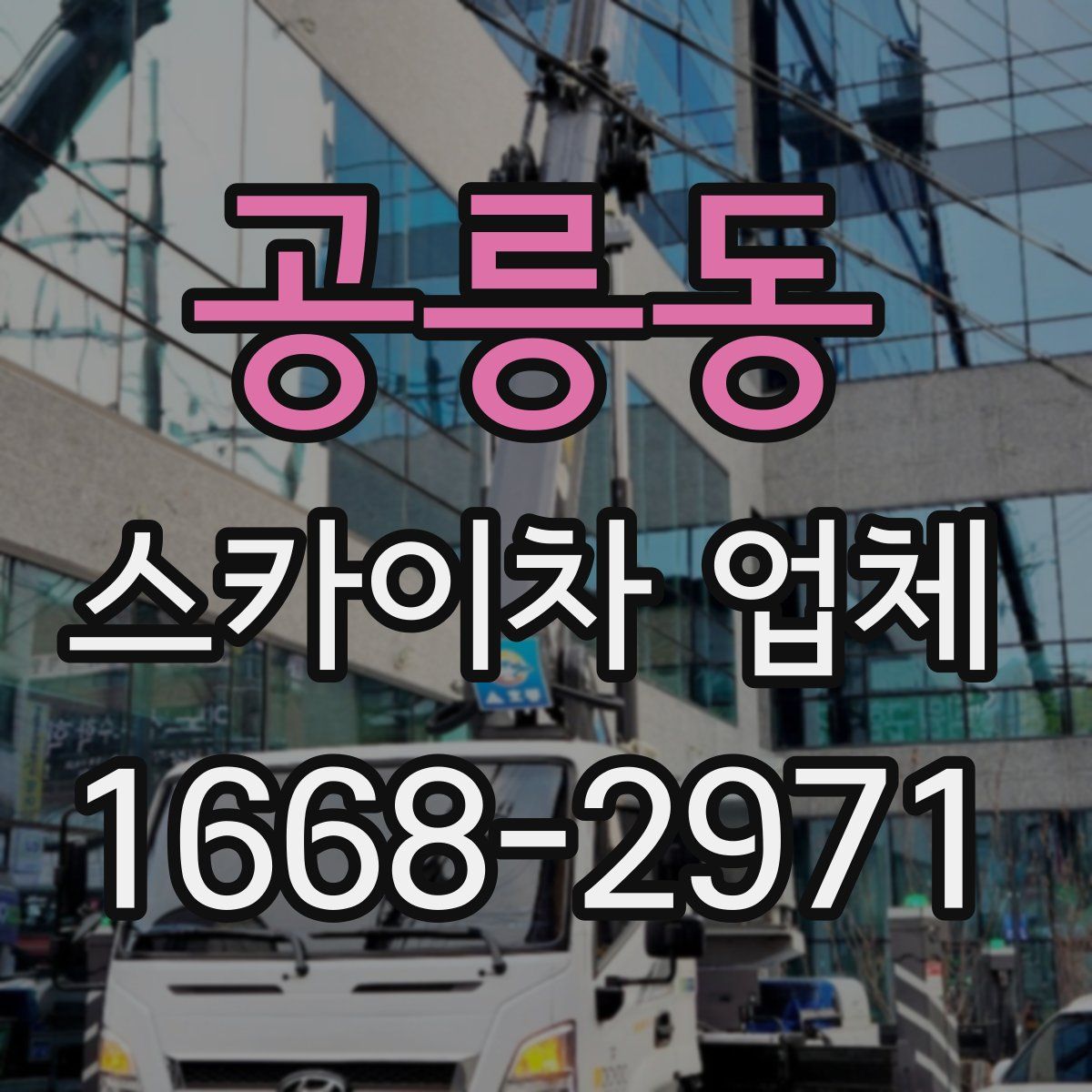 공릉동 스카이차 업체