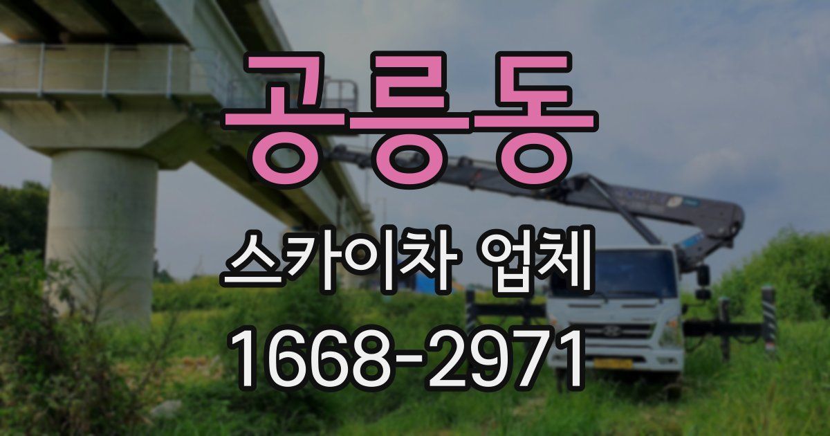 공릉동 스카이차 업체