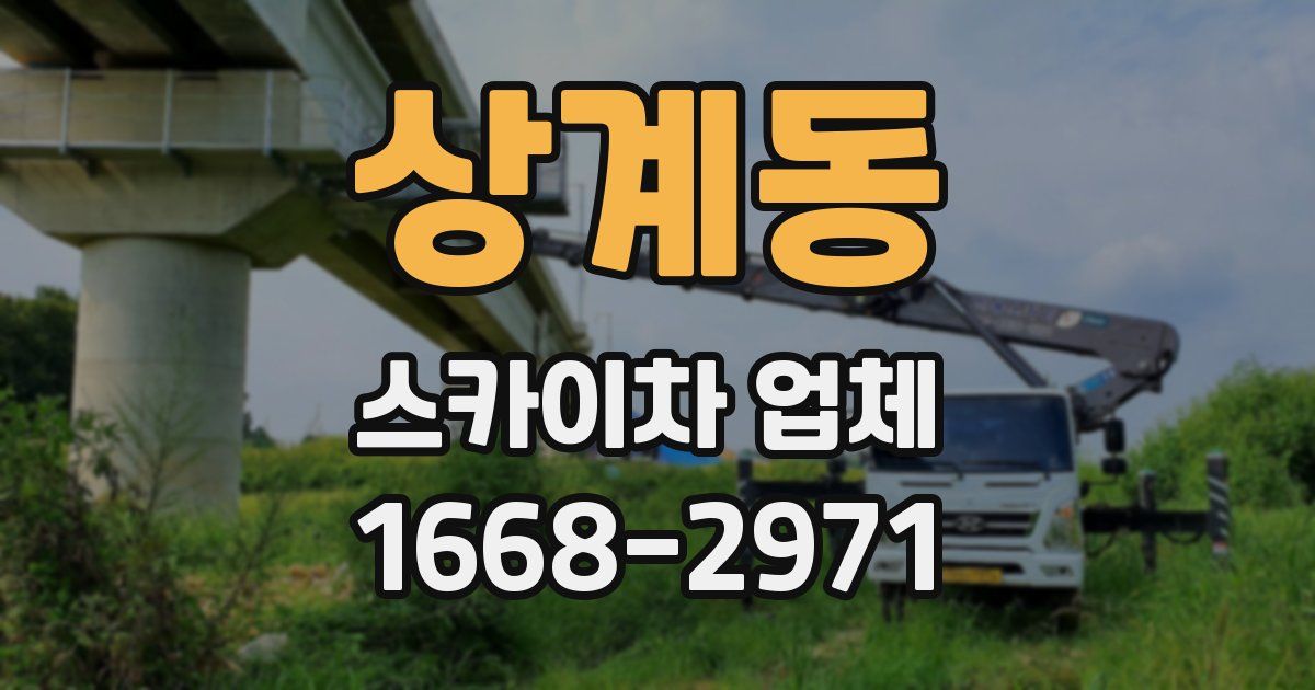 상계동 스카이차 업체