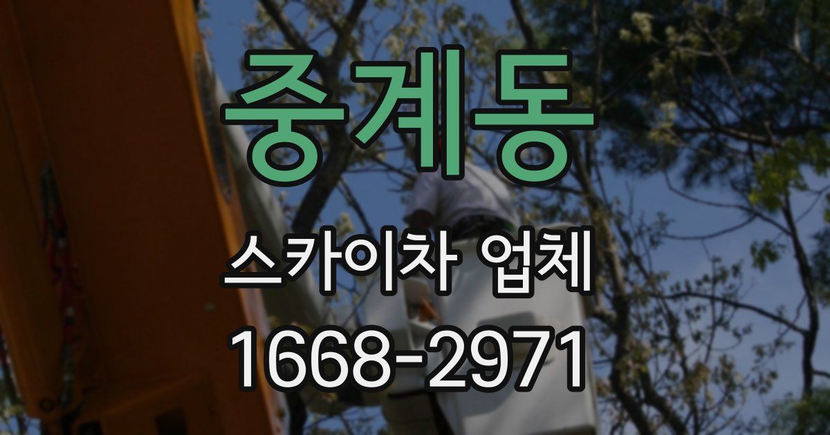 중계동 스카이차 업체