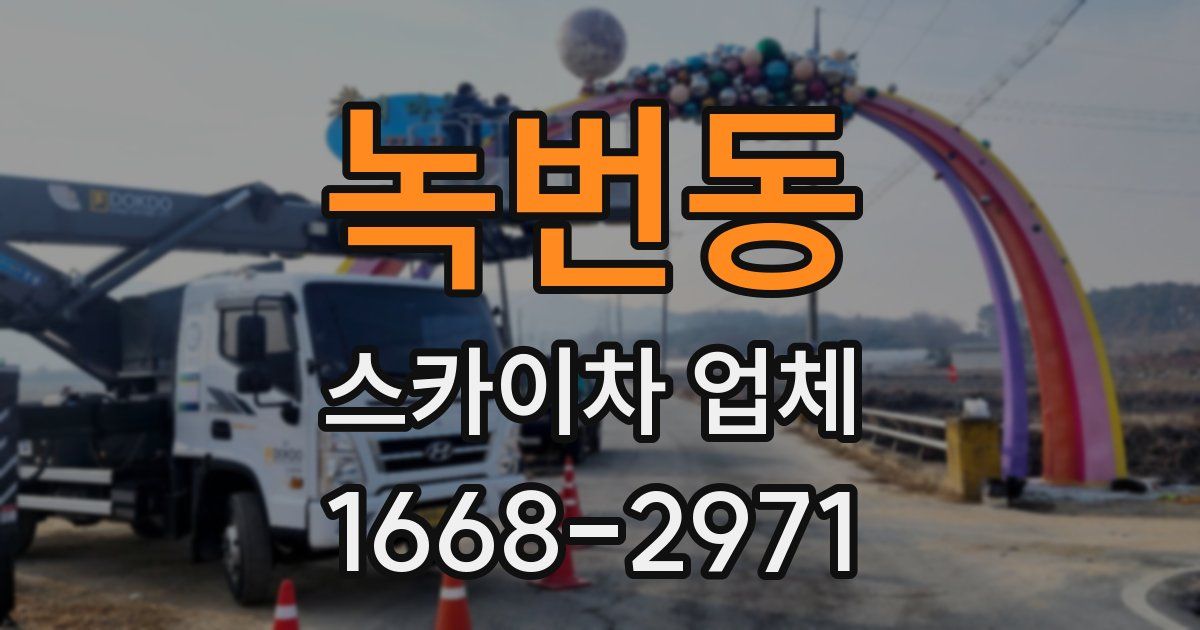 녹번동 스카이차 업체