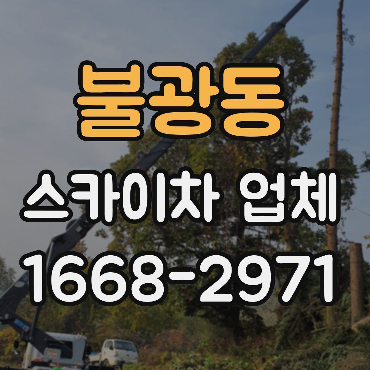 불광동 스카이차 업체