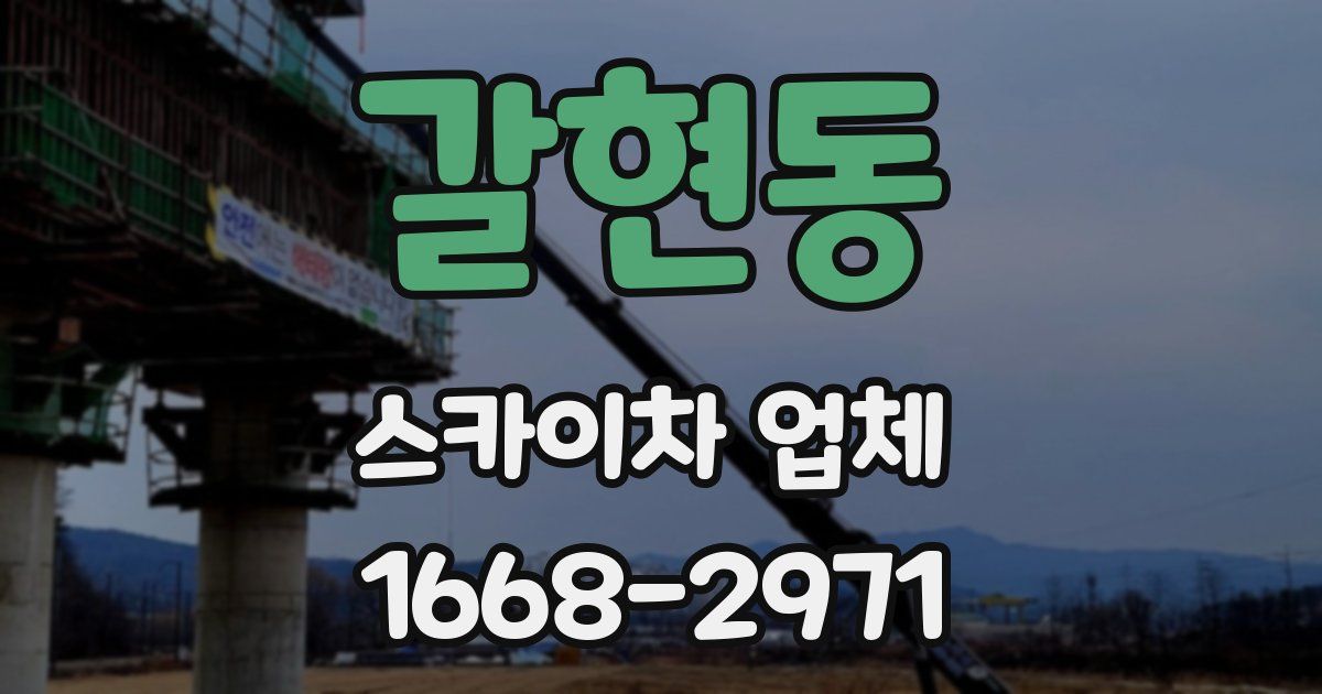 갈현동 스카이차 업체