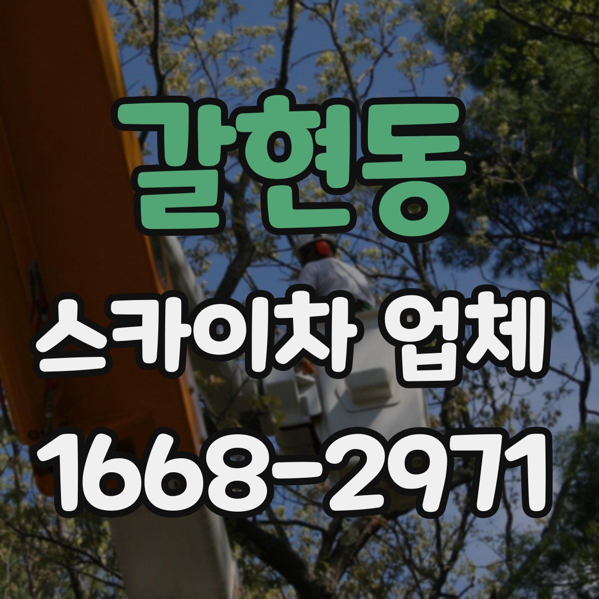갈현동 스카이차 업체