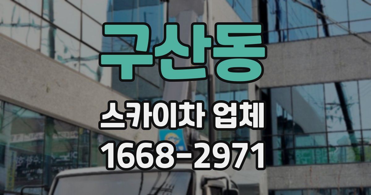 구산동 스카이차 업체