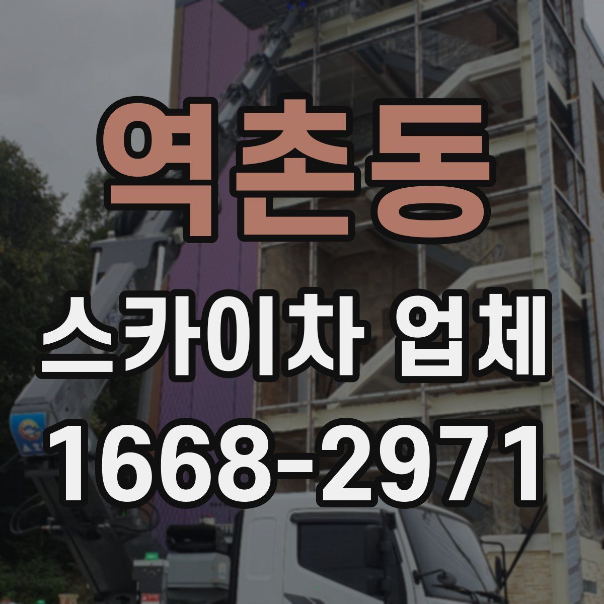 역촌동 스카이차 업체