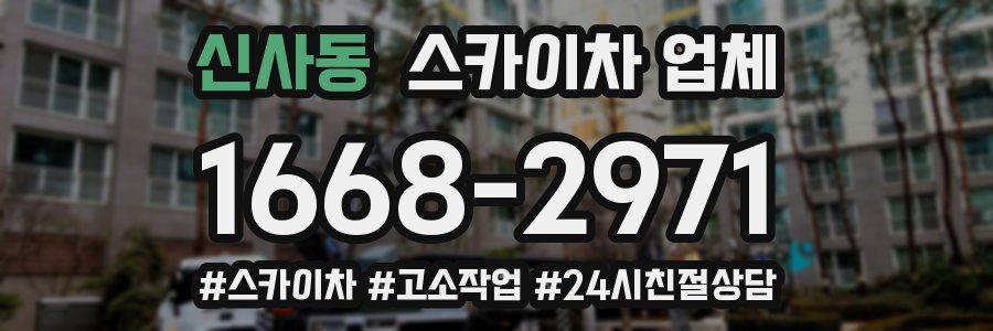 신사동 스카이차 업체