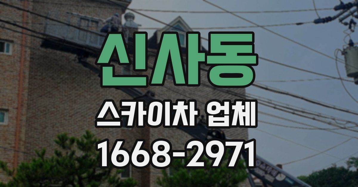 신사동 스카이차 업체