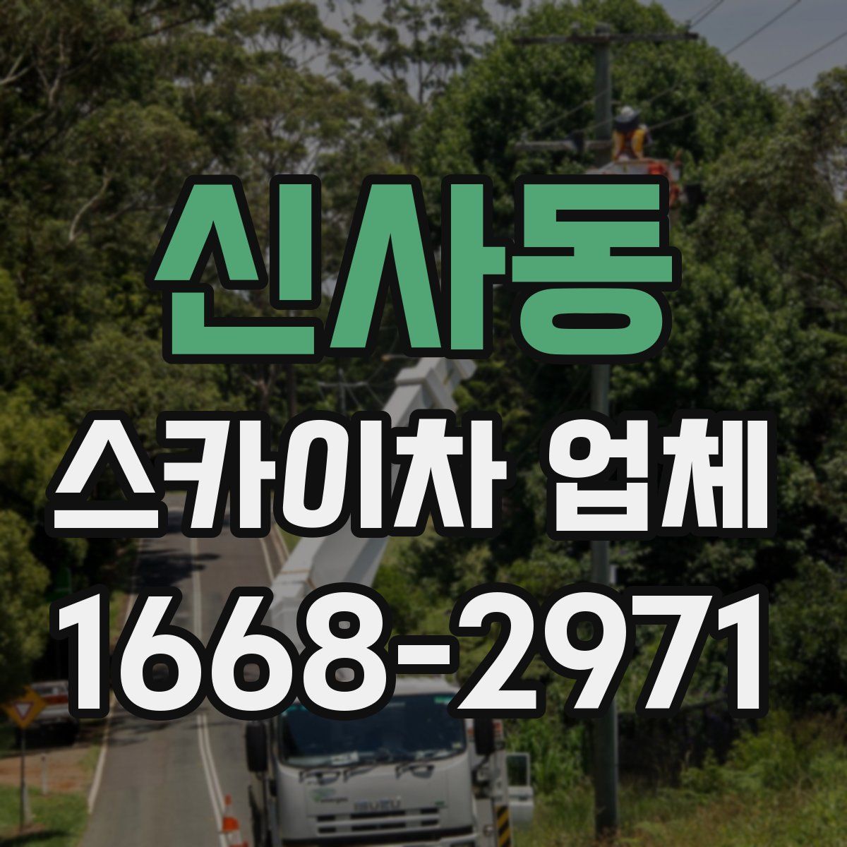 신사동 스카이차 업체