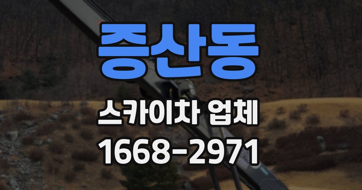 증산동 스카이차 업체