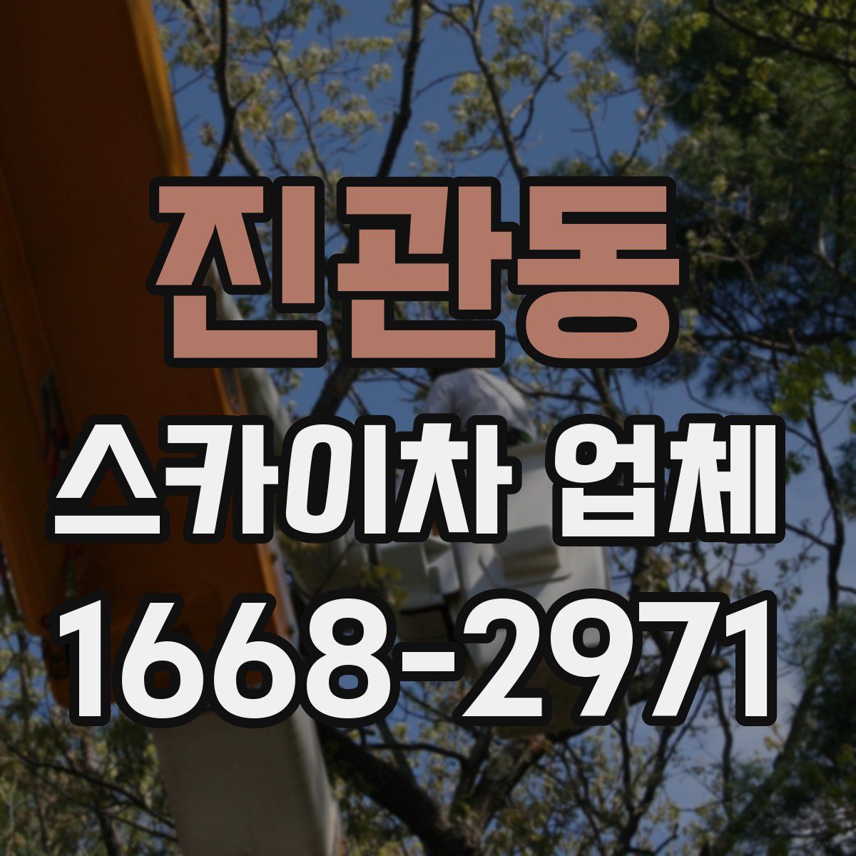 진관동 스카이차 업체