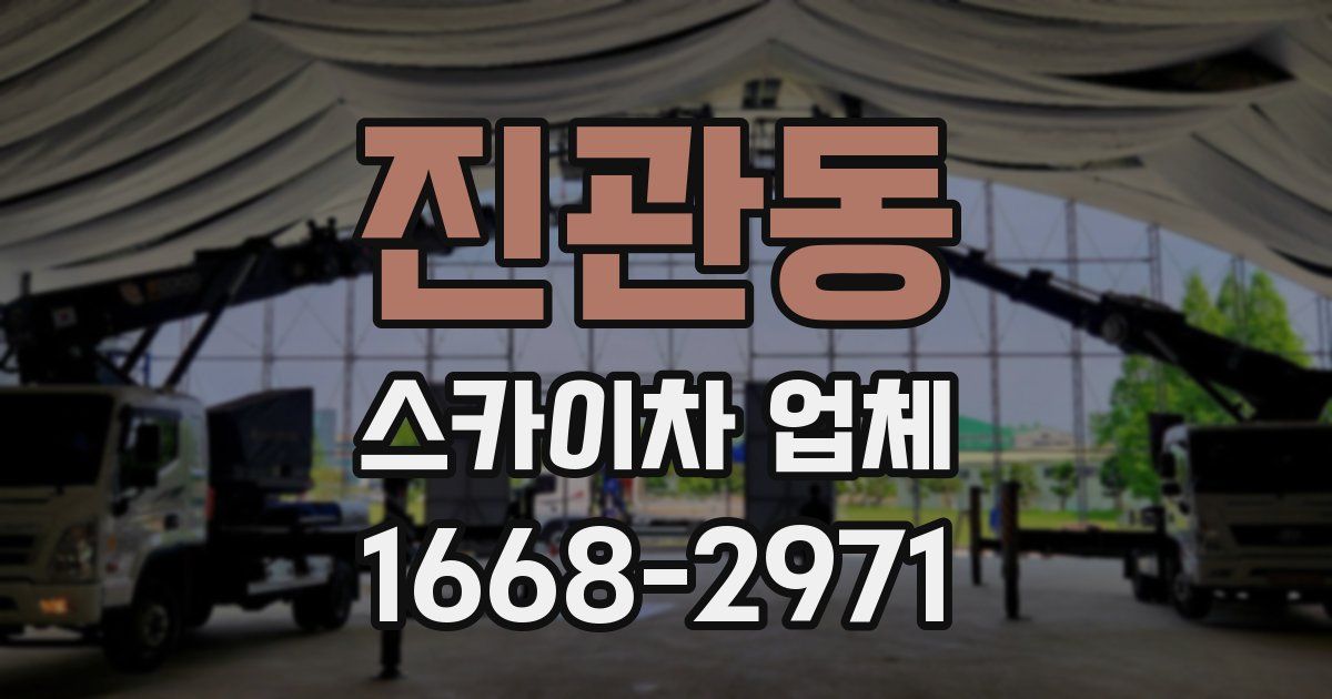 진관동 스카이차 업체