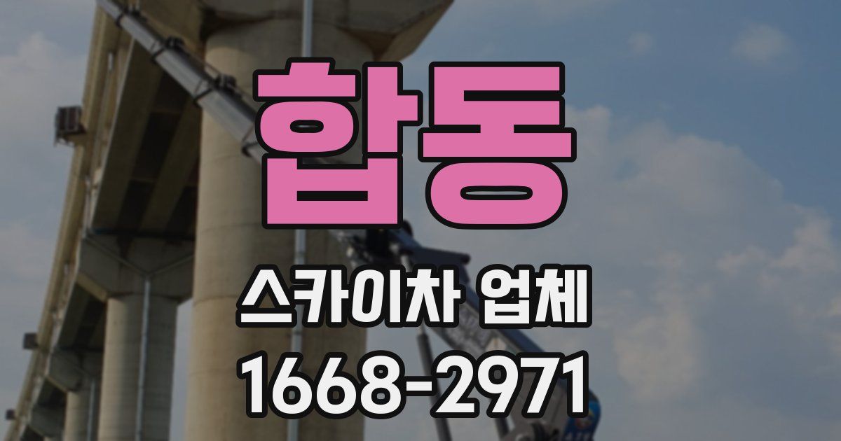 합동 스카이차 업체