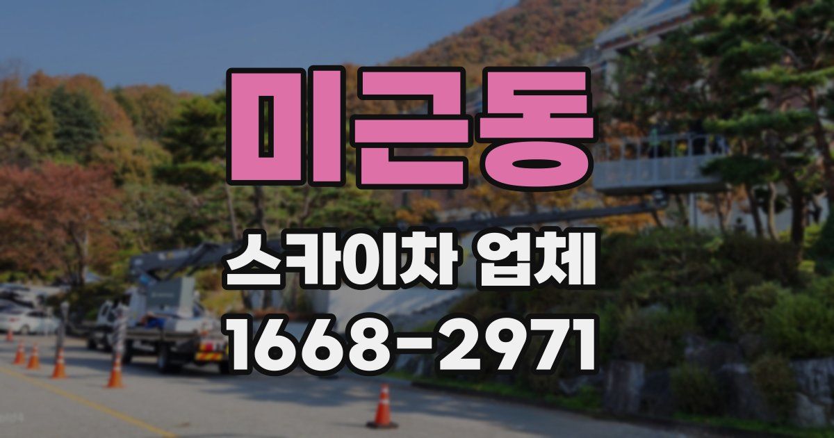 미근동 스카이차 업체