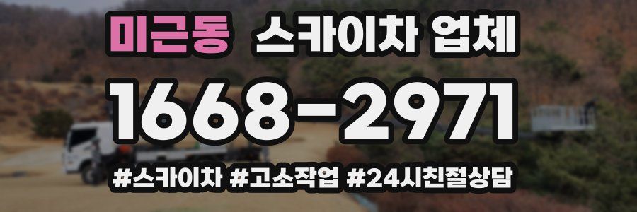 미근동 스카이차 업체