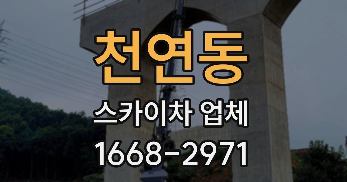 천연동 스카이차 업체