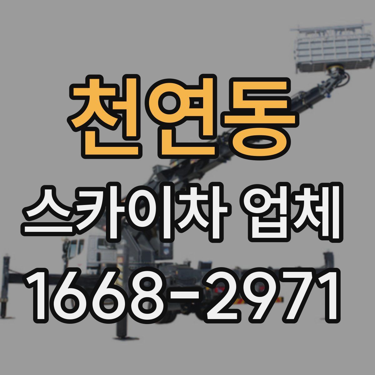 천연동 스카이차 업체