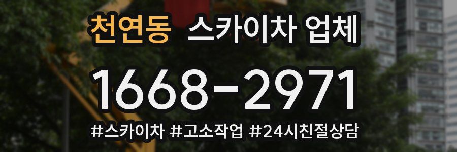 천연동 스카이차 업체