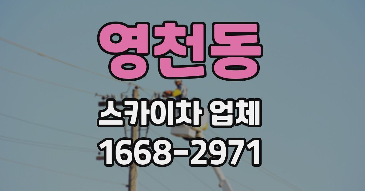 영천동 스카이차 업체
