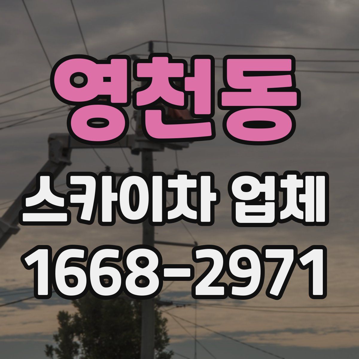 영천동 스카이차 업체