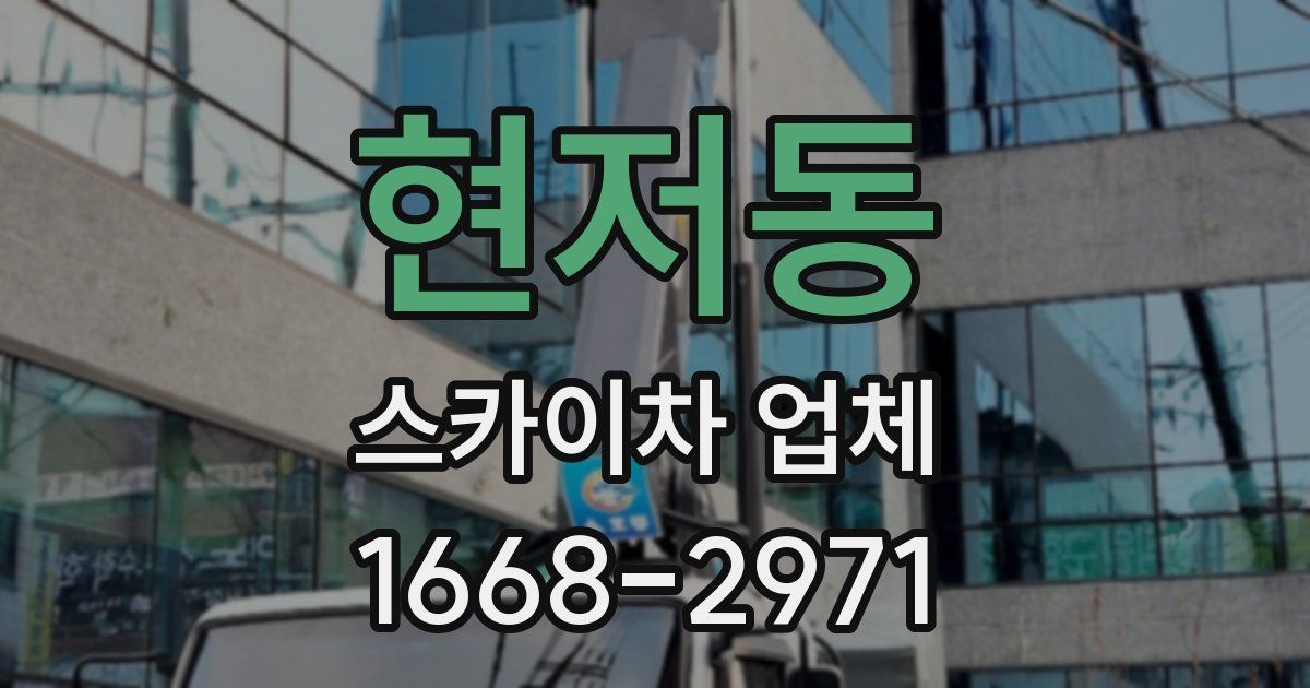 현저동 스카이차 업체