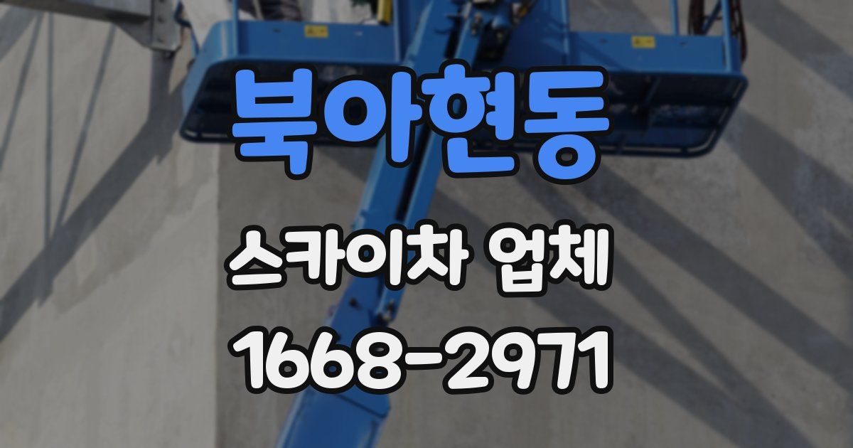 북아현동 스카이차 업체