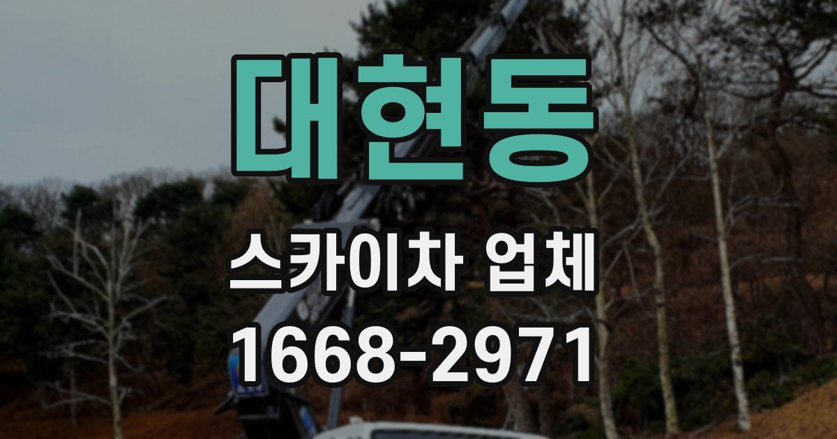 대현동 스카이차 업체