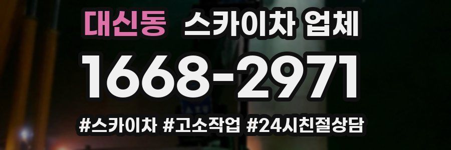 대신동 스카이차 업체