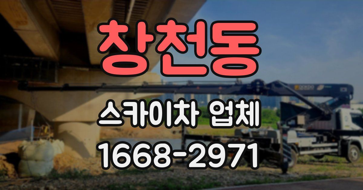 창천동 스카이차 업체
