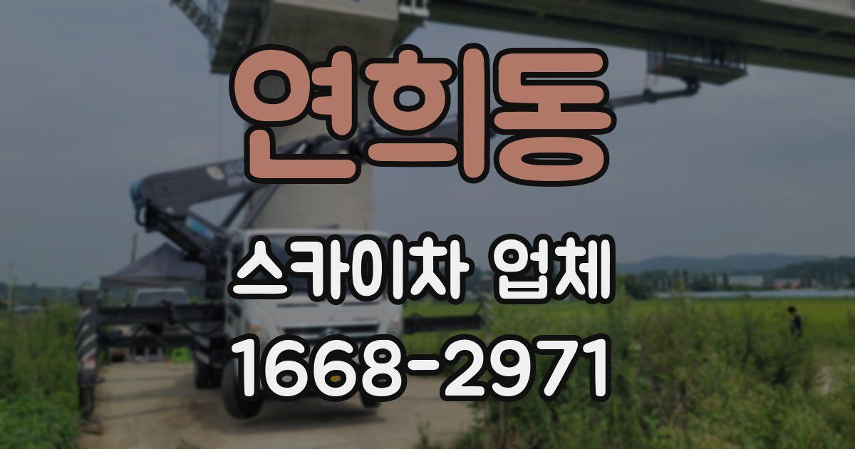 연희동 스카이차 업체