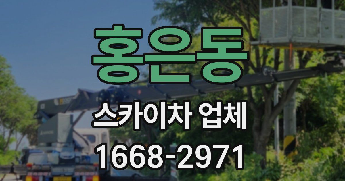 홍은동 스카이차 업체