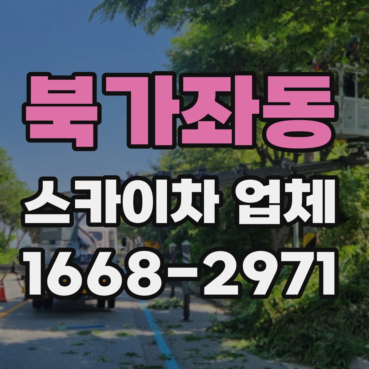 북가좌동 스카이차 업체