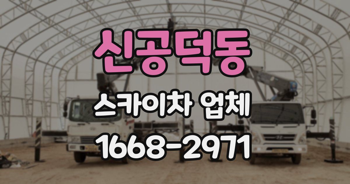 신공덕동 스카이차 업체