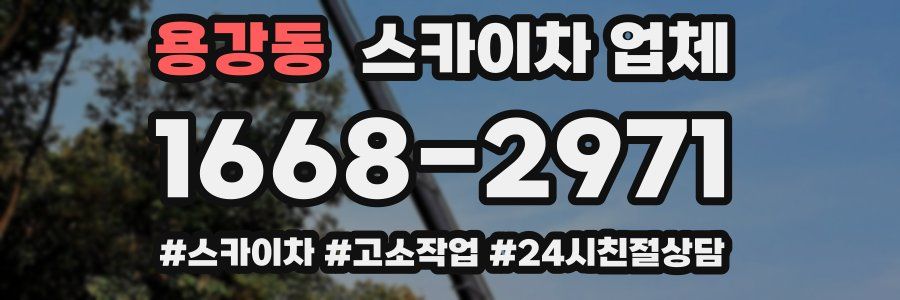 용강동 스카이차 업체