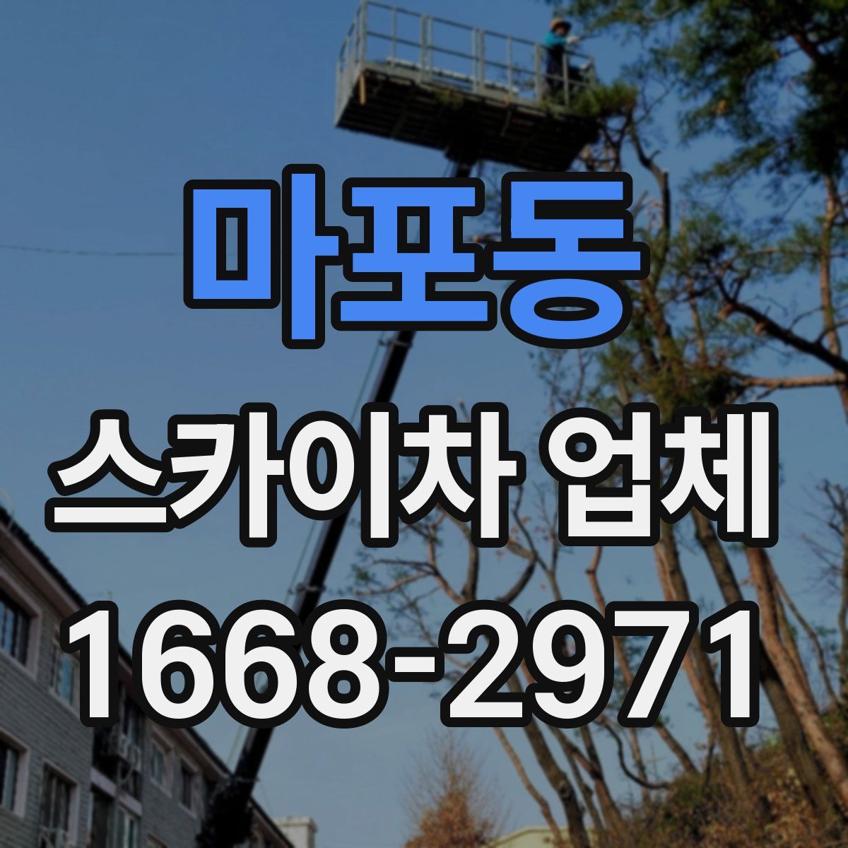 마포동 스카이차 업체