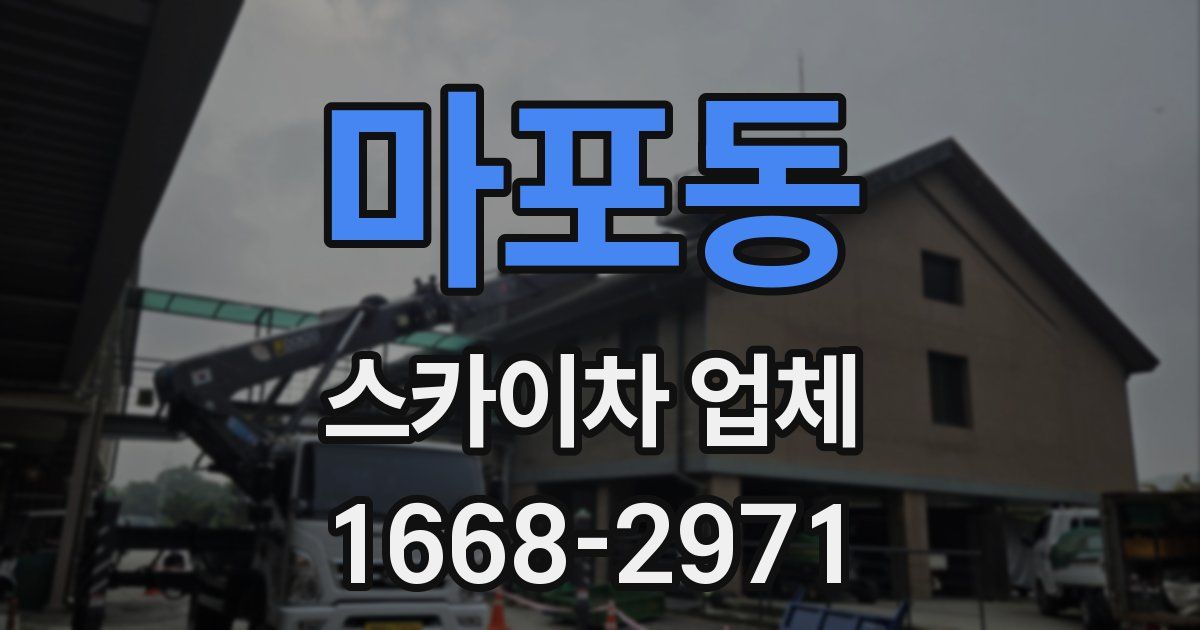 마포동 스카이차 업체