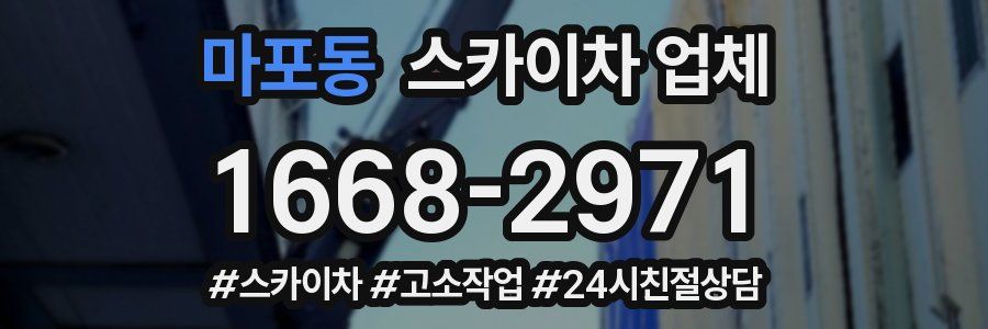 마포동 스카이차 업체