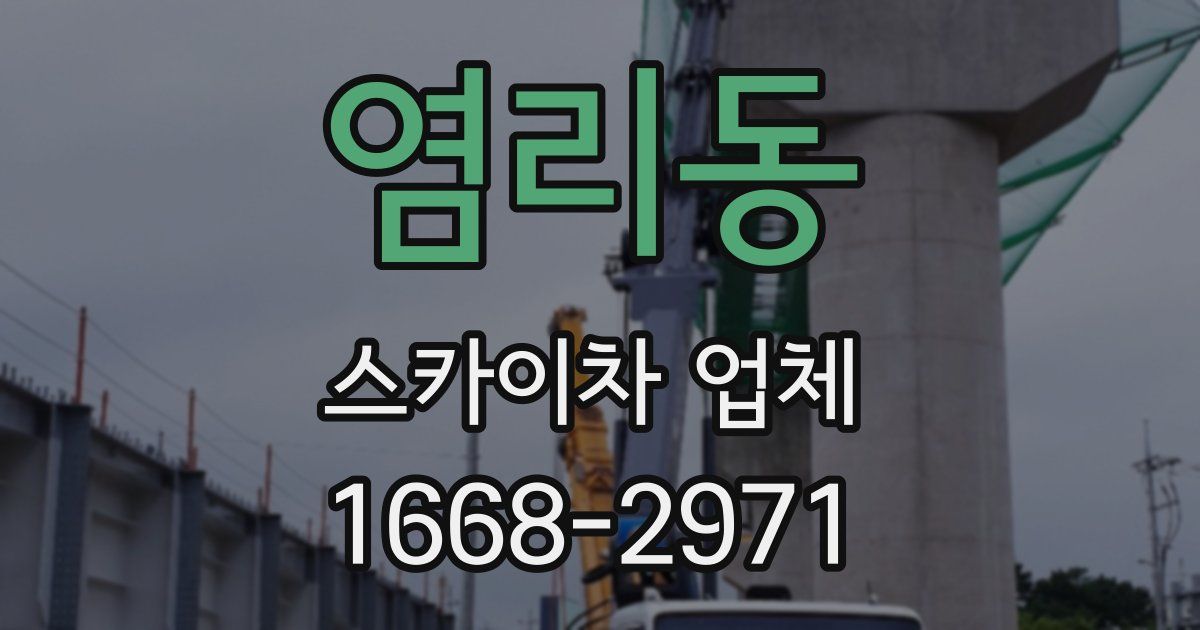 염리동 스카이차 업체