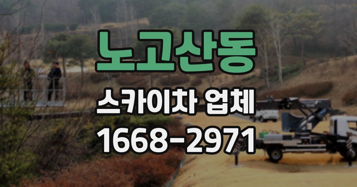 노고산동 스카이차 업체