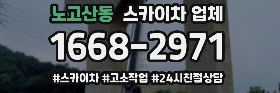 노고산동 스카이차 업체