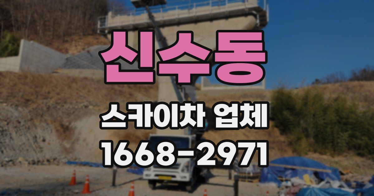 신수동 스카이차 업체