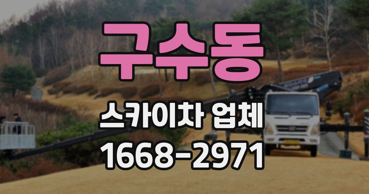 구수동 스카이차 업체