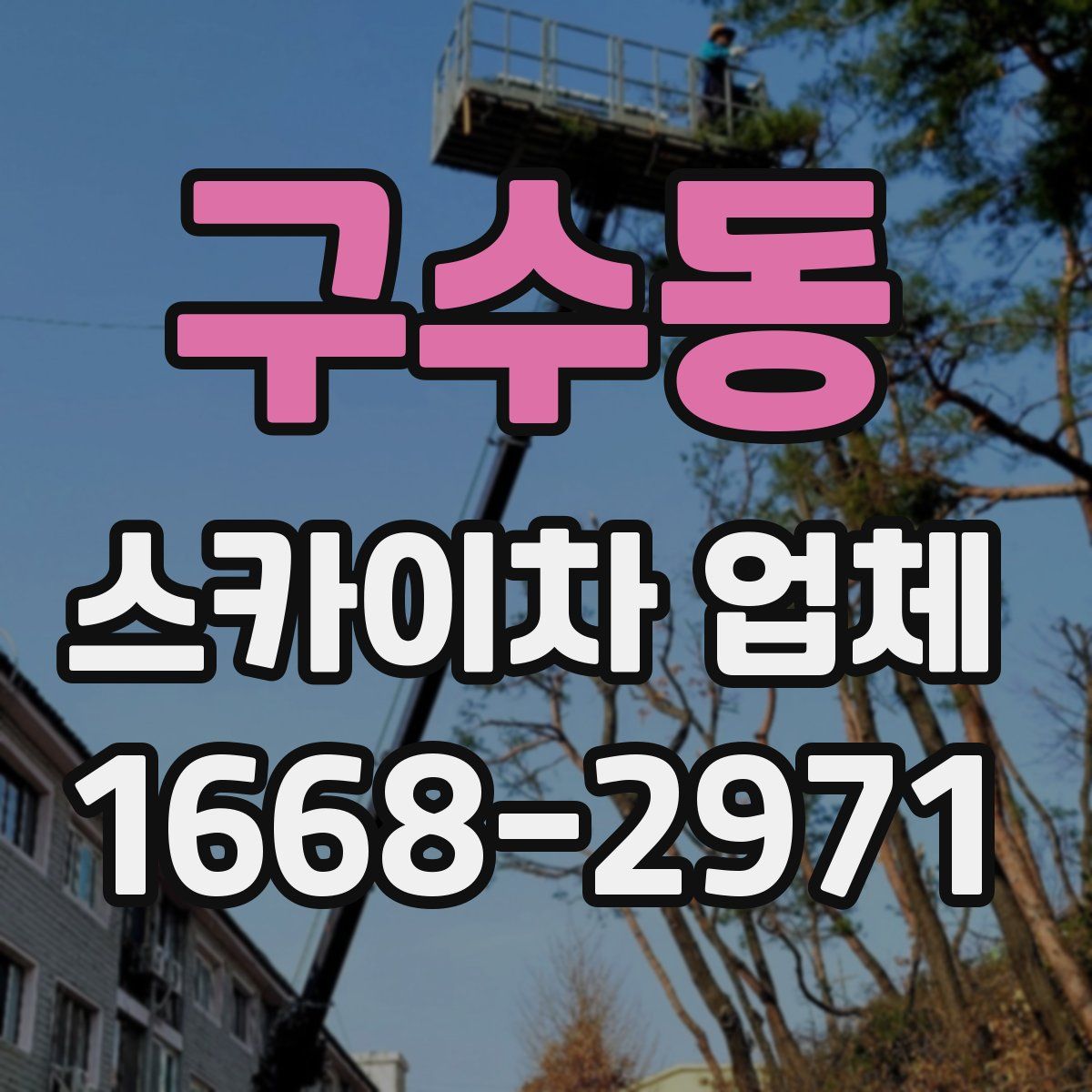 구수동 스카이차 업체