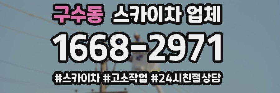 구수동 스카이차 업체