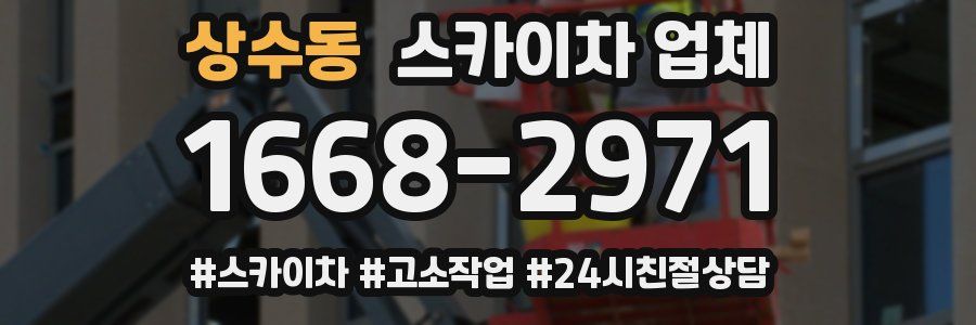 상수동 스카이차 업체