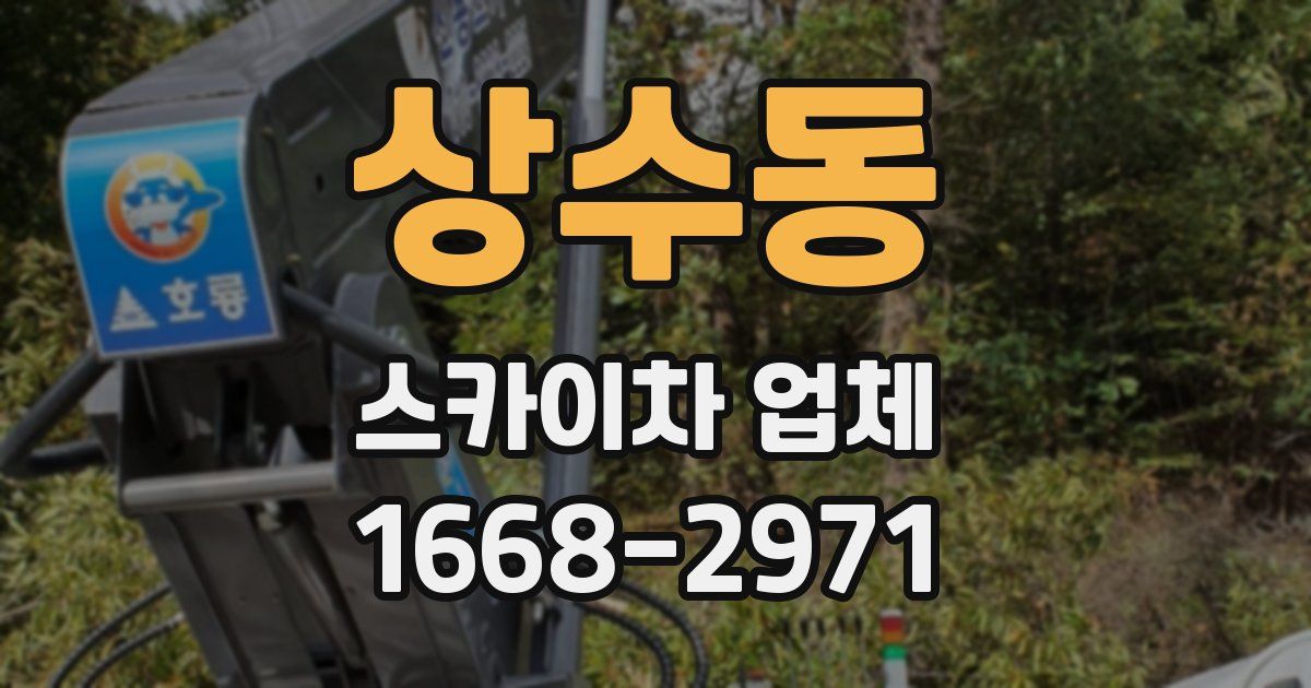 상수동 스카이차 업체