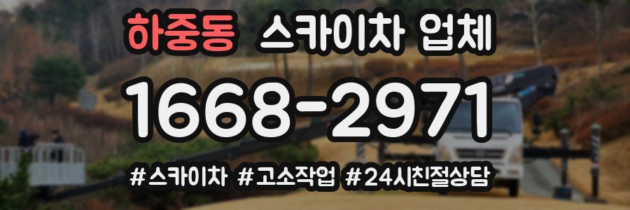 하중동 스카이차 업체