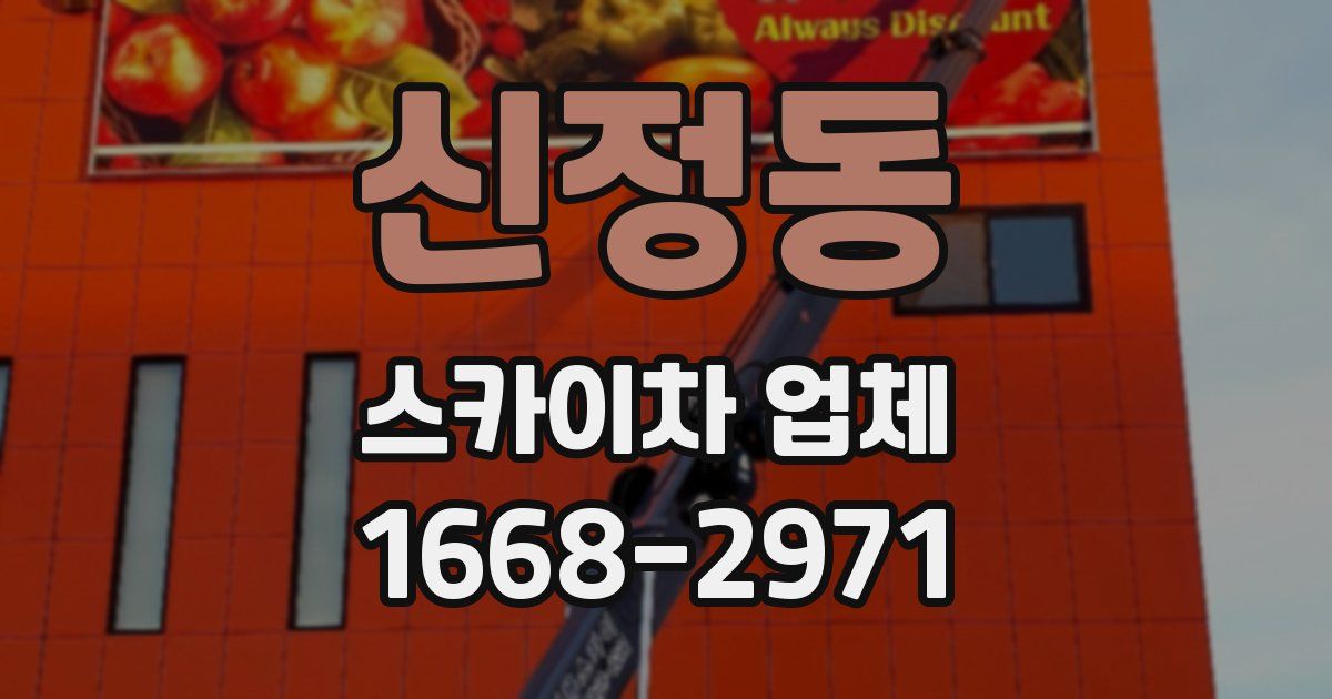 신정동 스카이차 업체